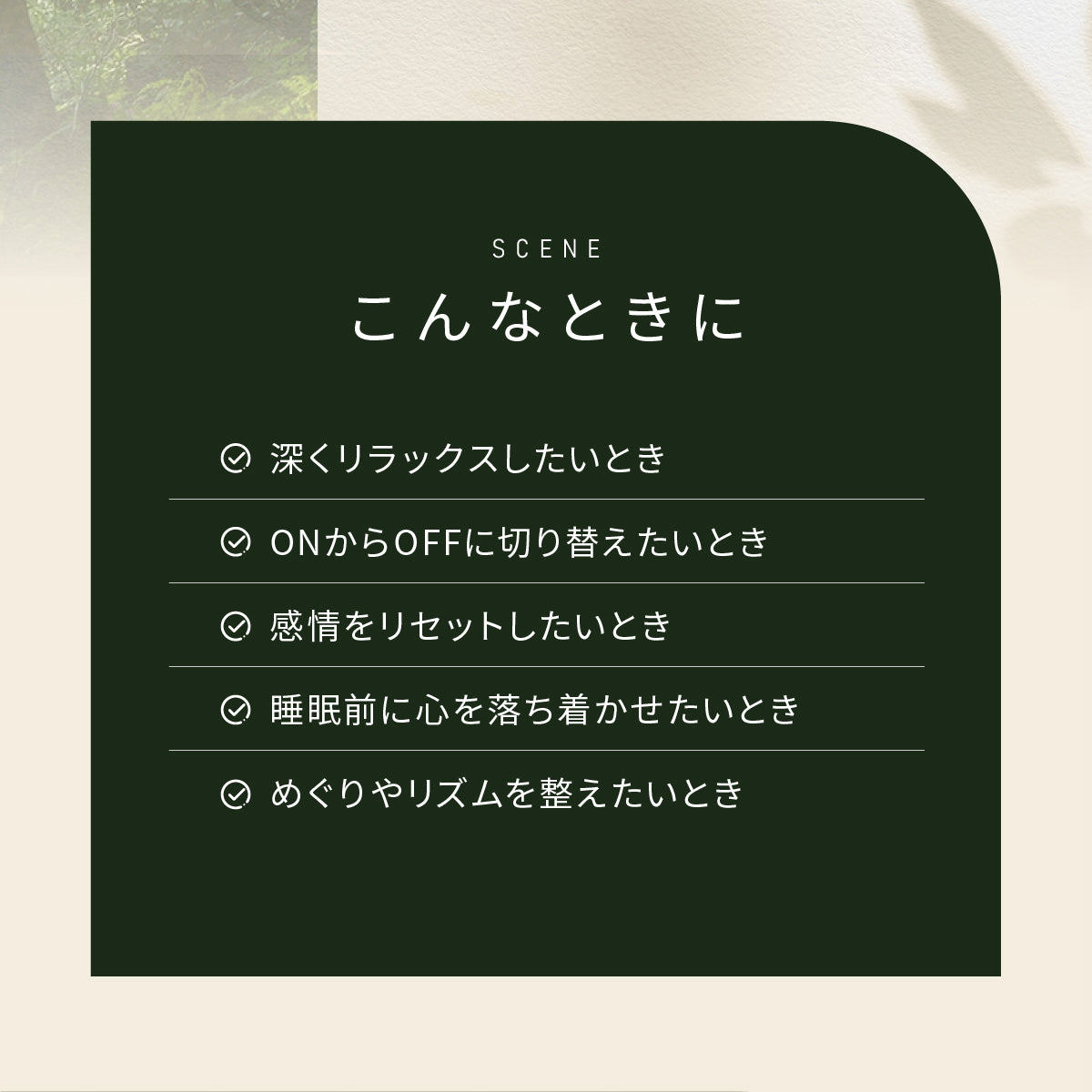 ズーム